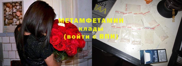 прущие грибы Михайлов