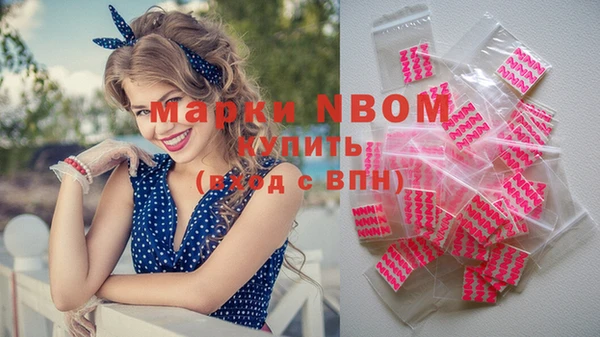 прущие грибы Михайлов